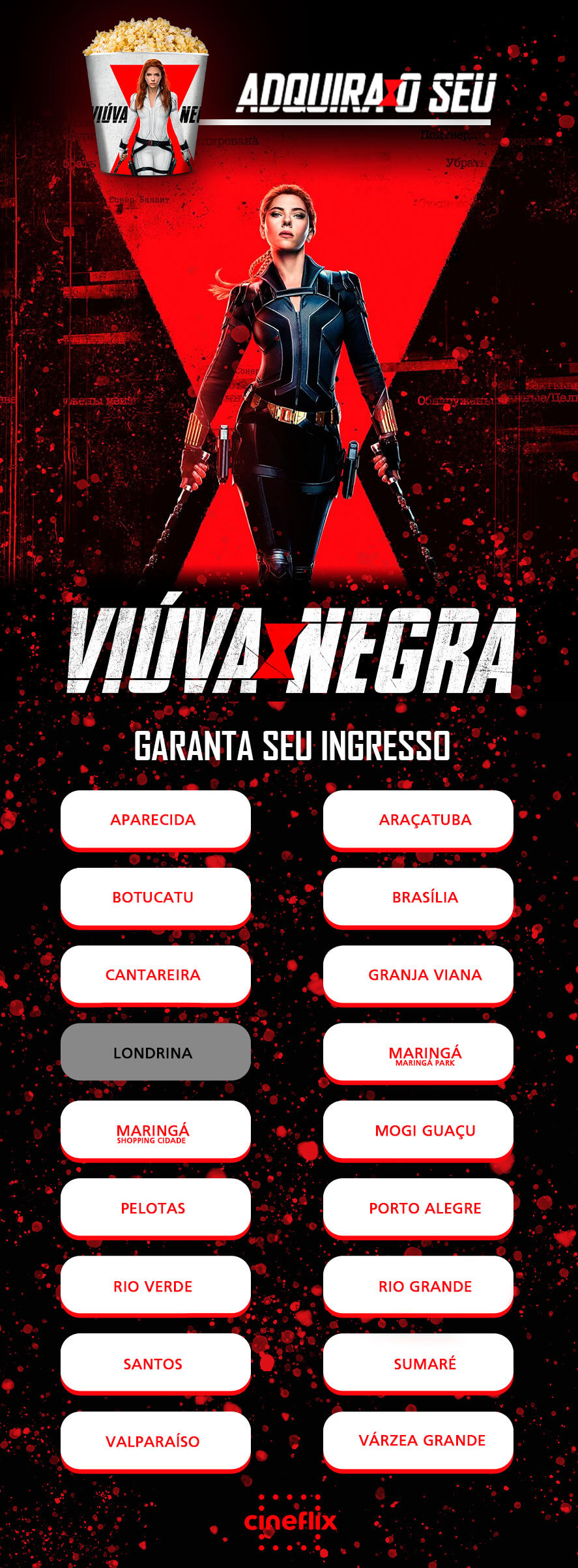 Viúva Negra